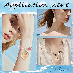 5Pcs Natural Sea Shell Big Pendants with Golden Brass Edge&nbsp;BSHE-YW0001-16