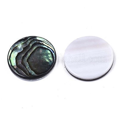 Natural Abalone Shell/Paua Shell Cabochons&nbsp;SSHEL-N034-72C-01-1