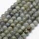 Natural Labradorite Beads Strands&nbsp;G-P322-29-8mm-1