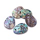 Paua Shell Pendants&nbsp;SSHEL-L012-07-1
