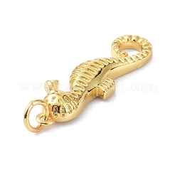 Eco-Friendly Brass Pendants&nbsp;KK-C221-04G