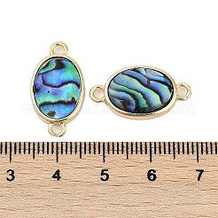 Brass Pave Natural Paua Shell Connector Charms&nbsp;KK-M299-01E-G