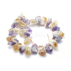 Natural Citrine and Amethyst Beads Strands&nbsp;G-L551C-03