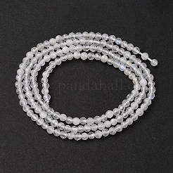 Natural Rainbow Moonstone Beads Strands&nbsp;G-B142-A04-2mm