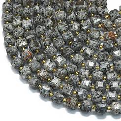 Natural Fluorescent Syenite Rock Beads Strands&nbsp;G-K389-A39-01