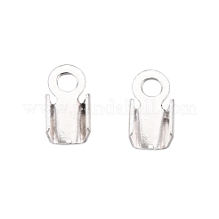 Iron Cord Ends&nbsp;IFIN-T021-01S