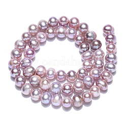 Natural Cultured Freshwater Pearl Beads Strands&nbsp;PEAR-N013-06S