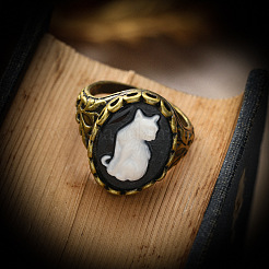 Alloy with Resin Finger Rings&nbsp;FS-WGE901F-02