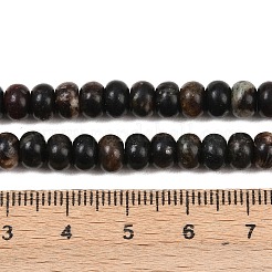 Natural Biotite Beads Strands&nbsp;G-L647-D05-4x6mm