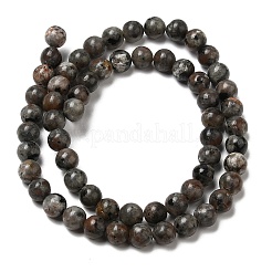 Natural Fluorescent Syenite Rock(Glow under UV Light) Beads Strands&nbsp;G-K340-A05-02