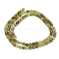 Natural Green Garnet Beads Strands&nbsp;GG-CBA77FB-B11-4mm