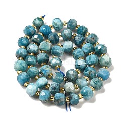 Natural Apatite Beads Strands&nbsp;G-P508-A15-01