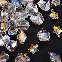 30Pcs 6 Styles Glass Pendants&nbsp;PALLOY-TAC0200