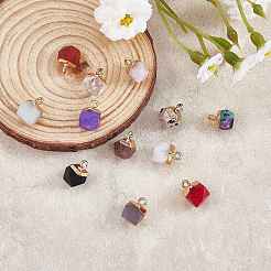 12Pcs 12 Styles Natural & Synthetic Gemstone Charms&nbsp;G-SZ0002-13