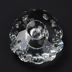 Transparent Glass Big Pendants&nbsp;GLAA-R223-13
