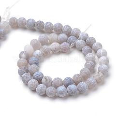 Natural & Dyed Crackle Agate Bead Strands&nbsp;G-T056-8mm-02