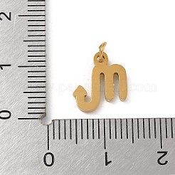 304 Stainless Steel Charms&nbsp;STAS-R001-04G-08
