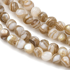 Natural Freshwater Shell Beads Strands&nbsp;SHEL-K006-71C