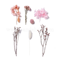Dried Flowers&nbsp;DIY-D052-13