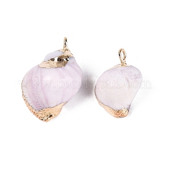 Electroplate Natural Sea Shell Pendants&nbsp;BSHE-Q020-02