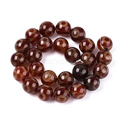 Tibetan Style dZi Agate Beads Strands&nbsp;G-N357-04A-02