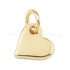 Brass Charms&nbsp;KK-L251-41G-B01