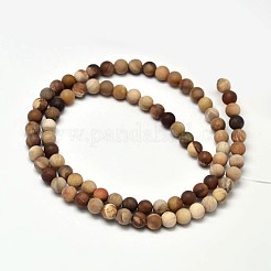 Frosted Natural Petrified Wood Round Bead Strands&nbsp;G-F266-07-10mm