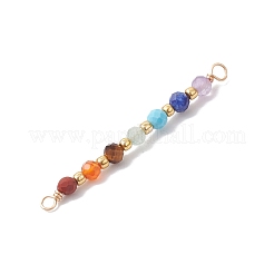 Chakra Natural Red Jasper & Amethyst & Carnelian & Lapis Lazuli & Tiger Eye & Green Aventurine & Dyed Magnesite Faceted Round Beaded Connector Charms&nbsp;PALLOY-JF04565-01