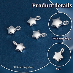4Pcs 925 Sterling Silver Charms&nbsp;STER-PH0002-82A