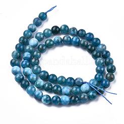 Natural Apatite Beads Strands&nbsp;G-O186-E02-6mm