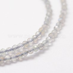 Natural Labradorite Beads Strands&nbsp;G-K185-10