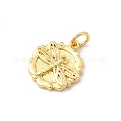 Brass Pendants&nbsp;KK-I364-39G