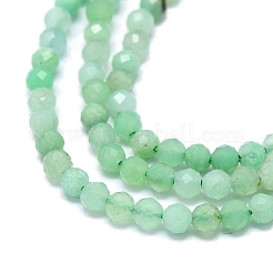Natural Chrysoprase Beads Strands&nbsp;G-G106-C01-01
