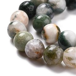 Natural Tree Agate Beads Strands&nbsp;G-I199-03-8mm