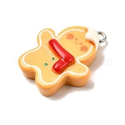 Christmas Opaque Resin Pendants&nbsp;FIND-I057-04P-05