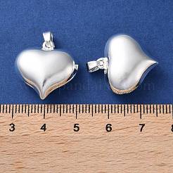 Rack Plating Brass Pendants&nbsp;KK-Z039-32E-S