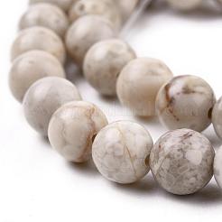 Natural Maifanite/Maifan Stone Beads Strands&nbsp;X-G-I187-8mm-01