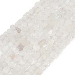 Natural Rainbow Moonstone Beads Strands&nbsp;G-Q060-D12