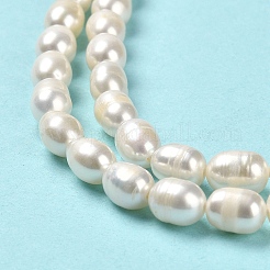 Natural Cultured Freshwater Pearl Beads Strands&nbsp;PEAR-E016-168