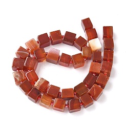 Natural Banded Agate(Dyed & Heated) Beads Strands&nbsp;G-D338-A09-02