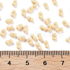 Baking Paint Glass Seed Beads&nbsp;SEED-A033-05G