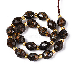 Natural Bronzite Beads Strands&nbsp;G-N342-53-8x6-06