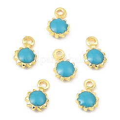 Brass Enamel Charms&nbsp;KK-K337-07G