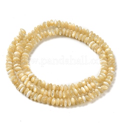 Natural Trochus Shell Beads Strands&nbsp;SHEL-K006-25B
