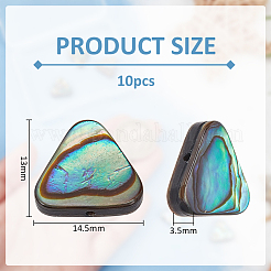 10Pcs Natural Abalone Shell/Paua Shell Beads&nbsp;SSHEL-BC0001-29
