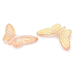 Transparent Acrylic Beads&nbsp;TACR-T028-14A