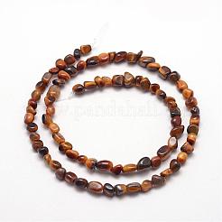 Natural Tiger Eye Beads Strands&nbsp;G-F465-04