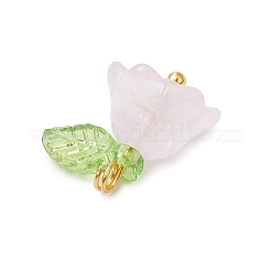 Glass Charms&nbsp;PALLOY-MZ00838-04