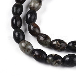 Natural Biotite Beads Strands&nbsp;G-N346-02B-02