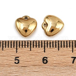 304 Stainless Steel Charms&nbsp;STAS-Z152-07G